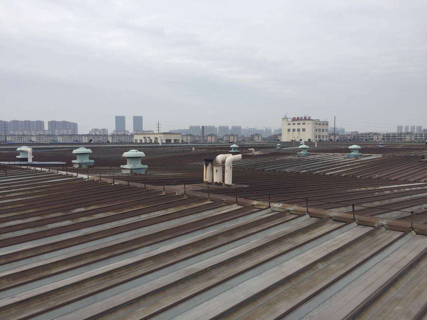 彩鋼瓦除銹 彩鋼瓦除銹